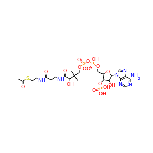 acetyl coenzyme-A